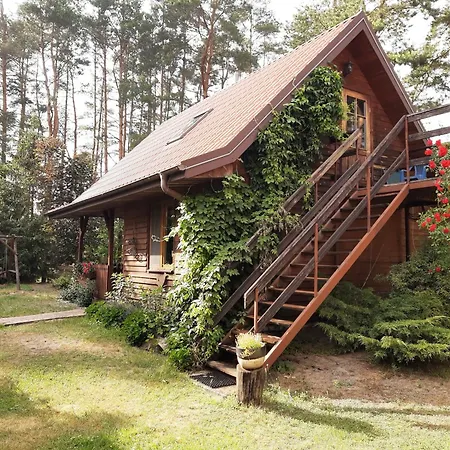 Kurpie, Goscinne, Wyzywienie, Catering, Agro Ela Апартаменты Myszyniec